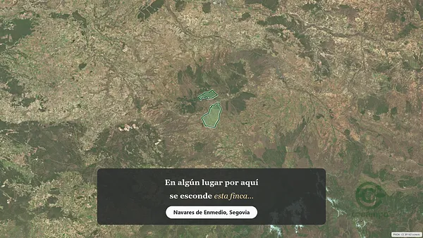 Spot image