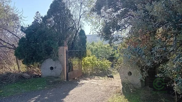 Spot image