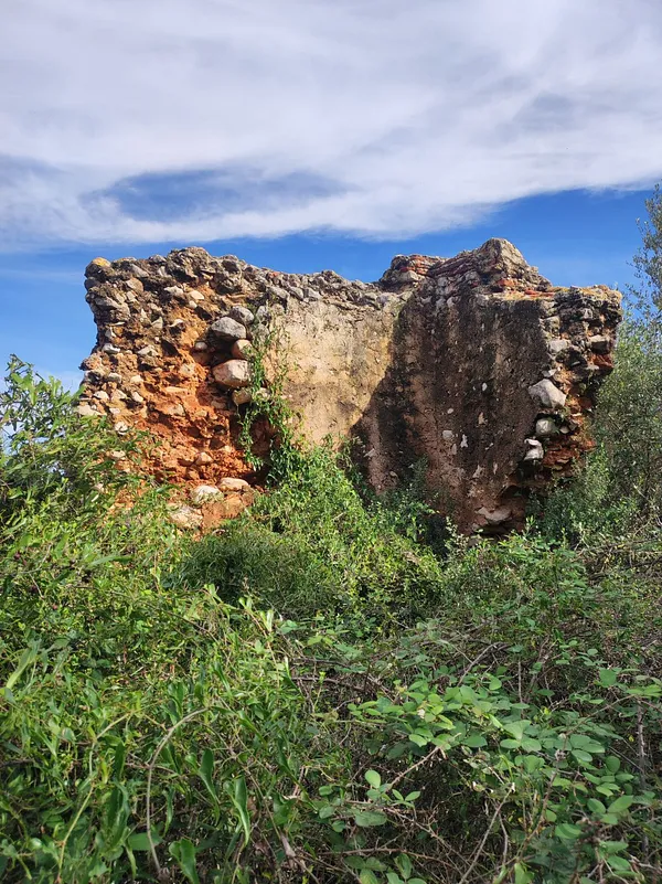 Spot image