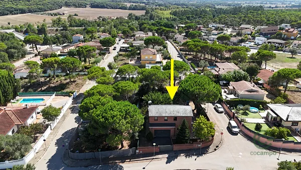 Spot image
