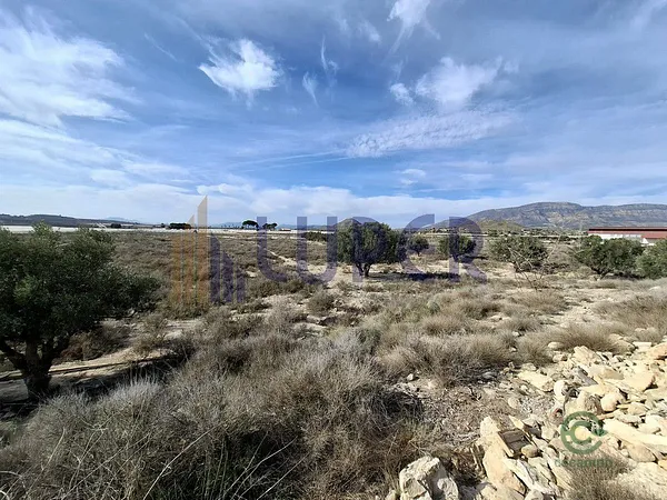 Spot image