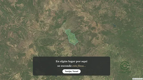 Spot image