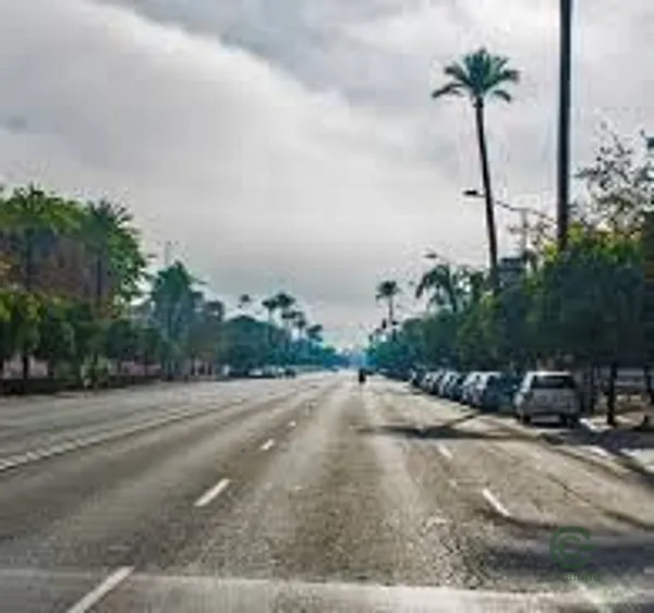 Spot image