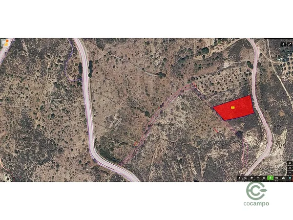 Spot image
