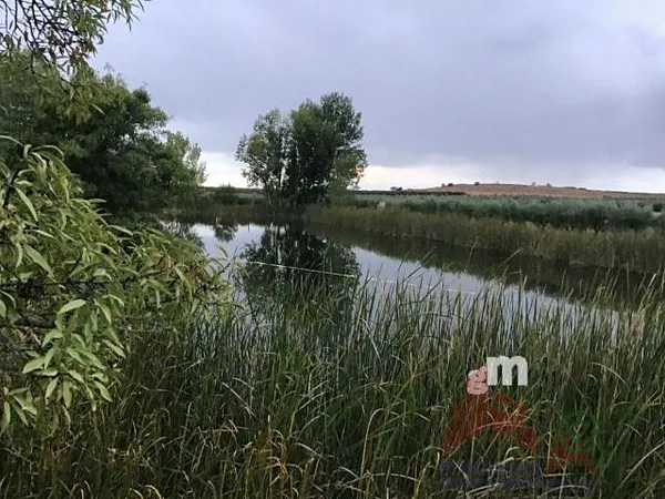 Finca agrícola de 11 ha en venta en Villanueva de la serena, Badajoz