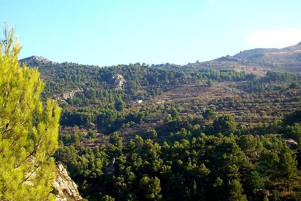 Spot image