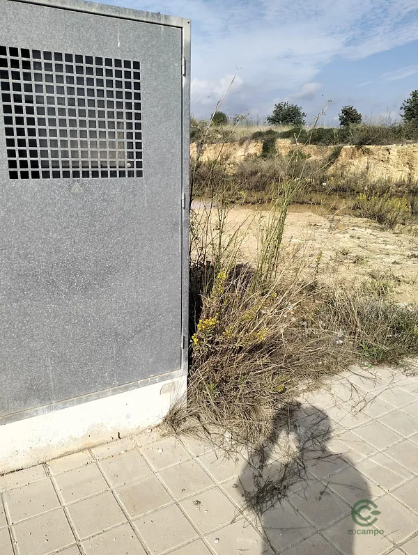 Spot image