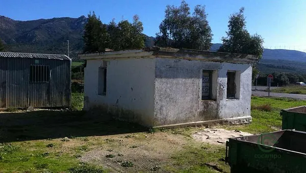 Spot image