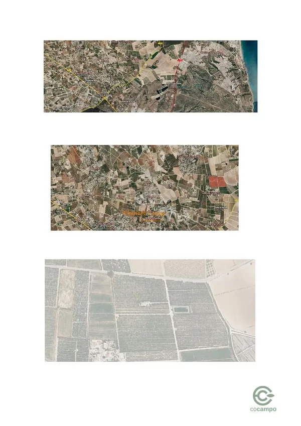 Spot image