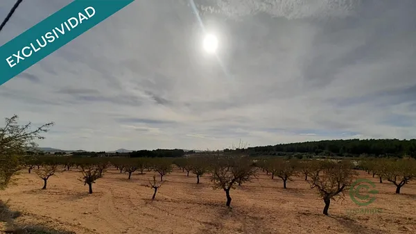 Terreno urbano de 1,9274 ha en venta en Almansa, Albacete