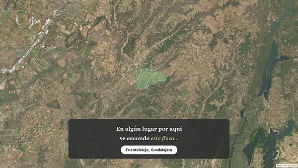 Spot image