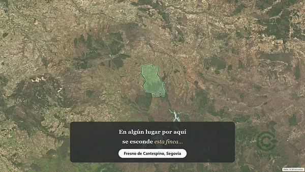 Spot image