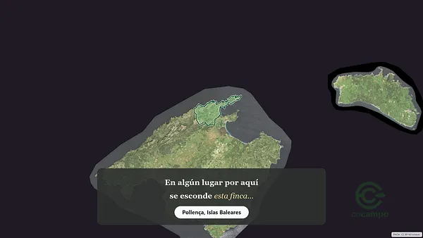 Spot image