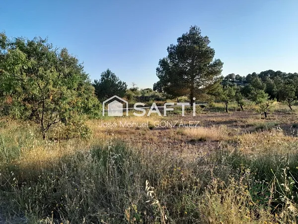 Spot image