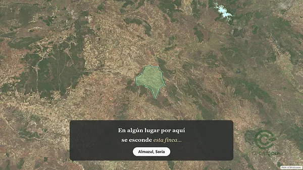 Spot image