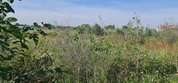 Finca agrícola de 0,05 ha en venta en Molina de segura, Murcia