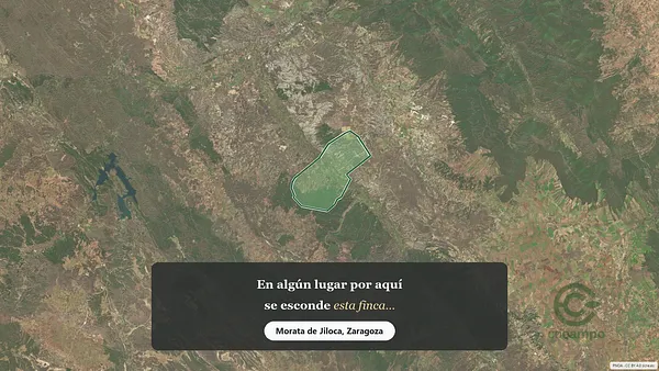 Spot image