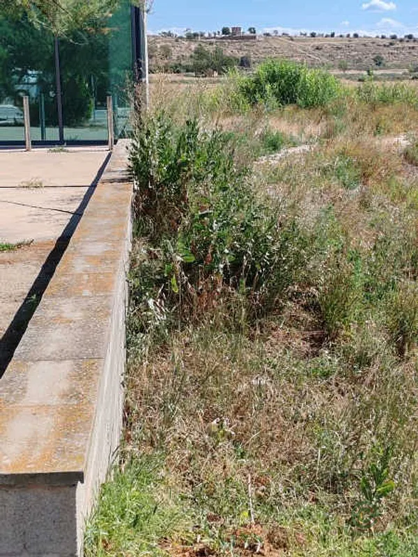 Finca rústica de 0,0443 ha en venta en Agramunt, Lérida