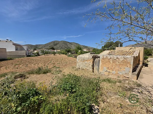 Spot image