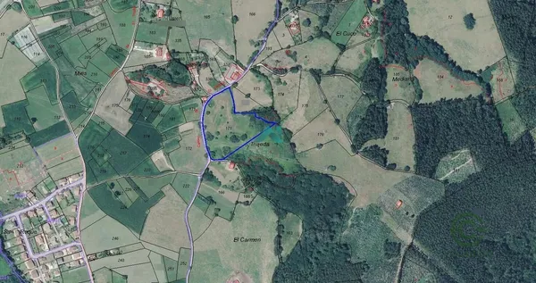 Spot image