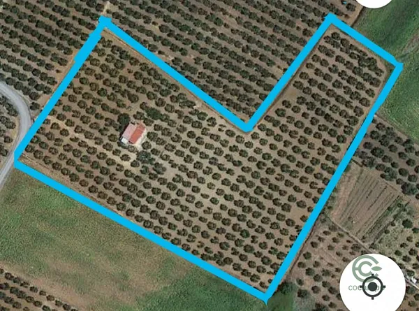 Finca agrícola de 2,1 ha en venta en Gibraleón, Huelva
