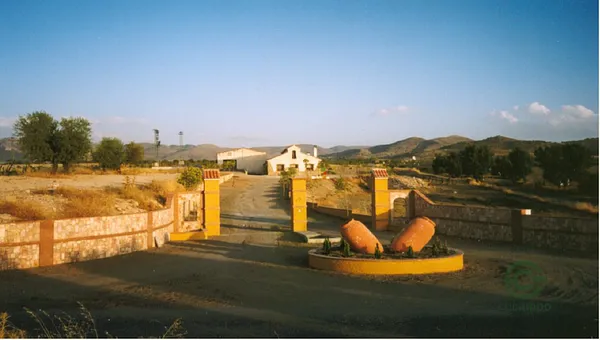 Spot image
