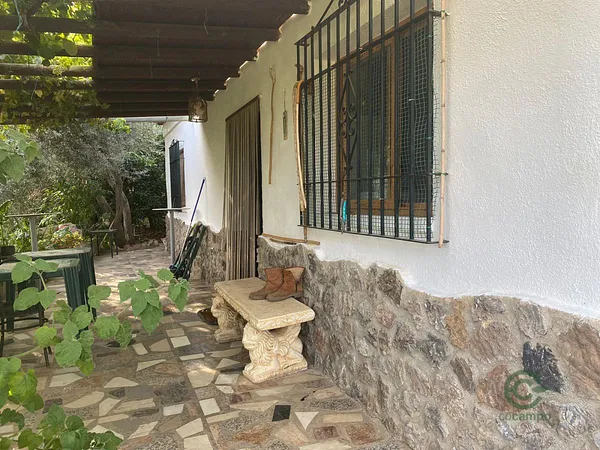 Spot image