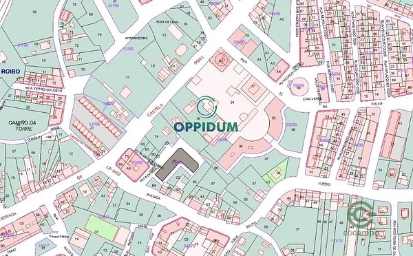 Spot image