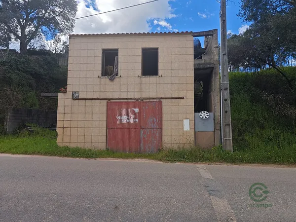 Spot image