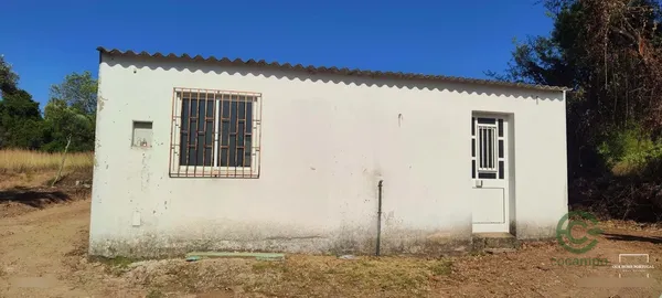 Spot image