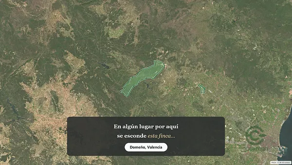 Spot image