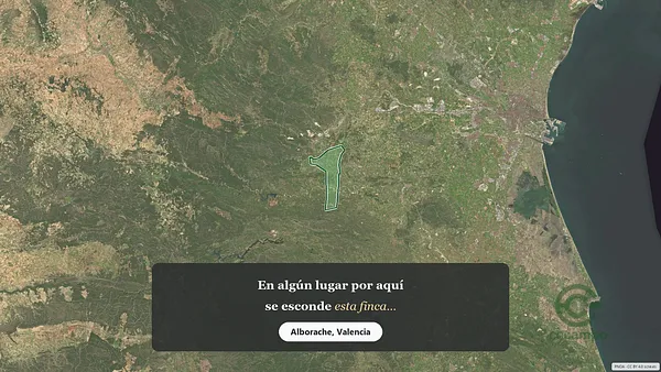 Spot image