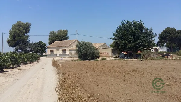 Finca agrícola de 2,67 ha en venta en Daya nueva, Alicante