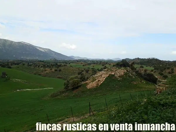Finca rústica de 380 ha en venta en Cádiz