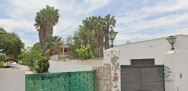 Spot image