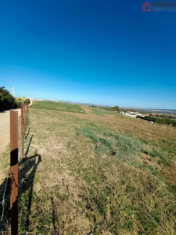 Finca rústica de 1,6 ha en venta en Arcos de la frontera, Cádiz