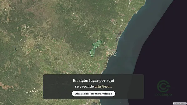 Spot image