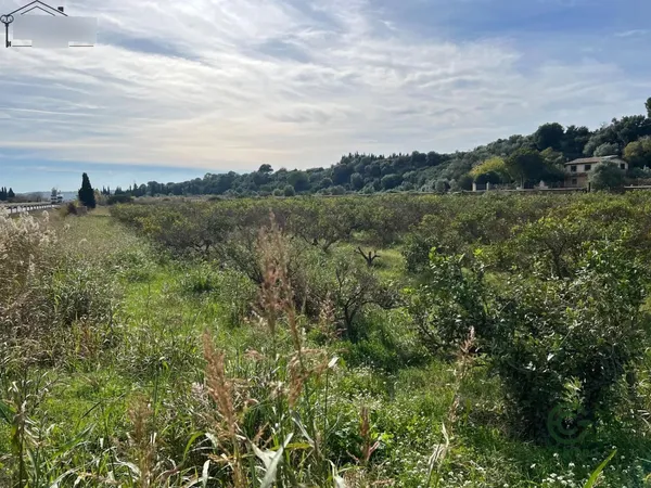 Finca agrícola de 1,022 ha en venta en Tortosa, Tarragona