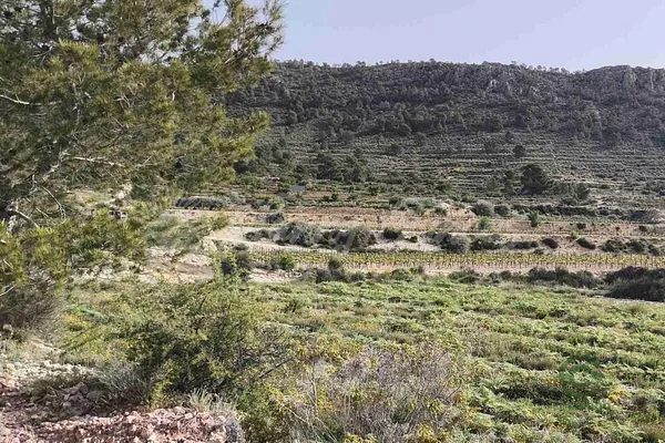 Spot image