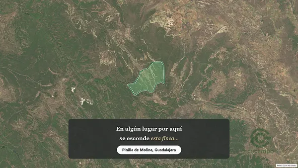 Spot image