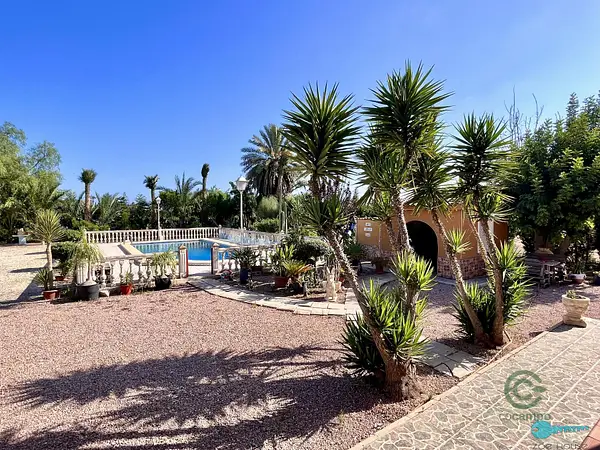Finca rústica de 1,7 ha en venta en Elche-elx, Alicante