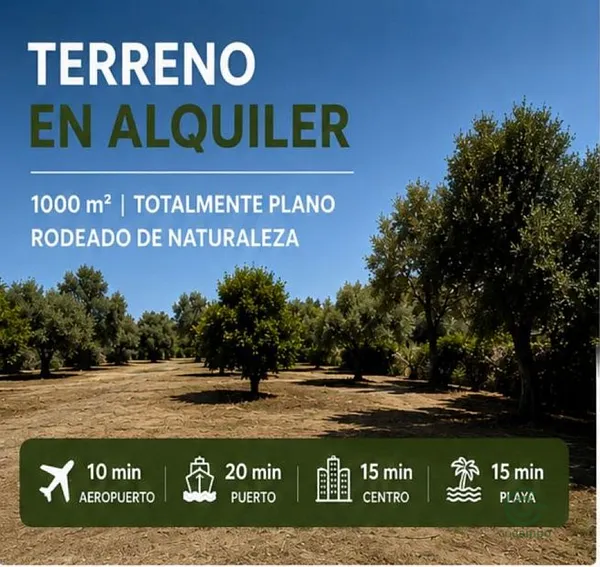 Finca rústica de 0,1 ha en alquiler en Alhaurín de la Torre, Málaga