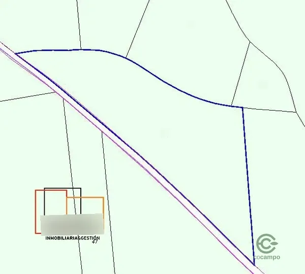Spot image