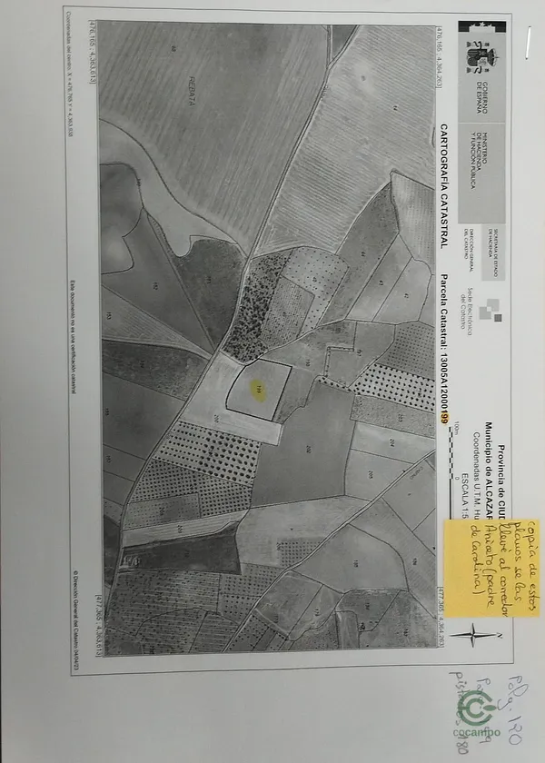 Spot image