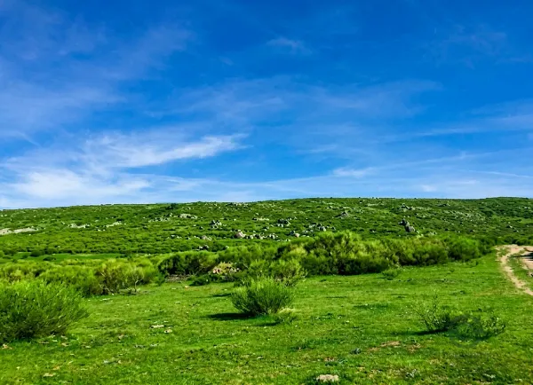 Finca rústica de 300 ha en venta en Segovia