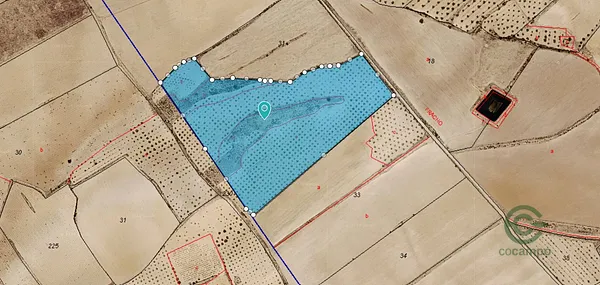 Spot image