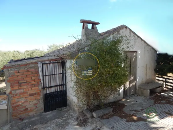 Spot image