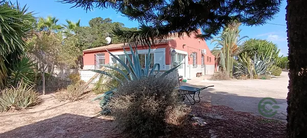 Spot image
