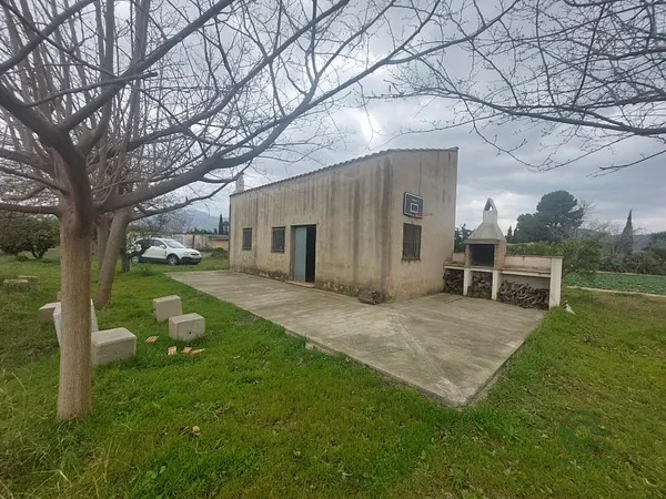 Spot image