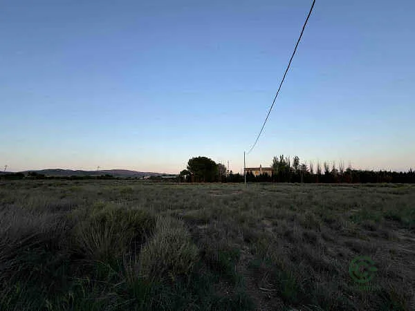 Spot image
